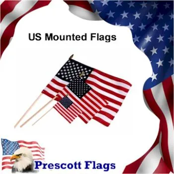 US Mounted Flags