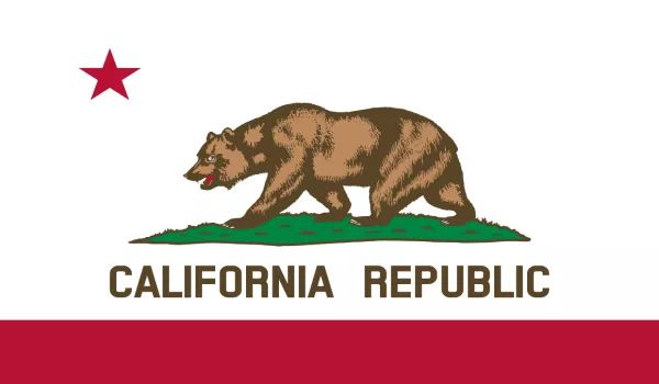 2x3 California 200 Denier Nylon Flag