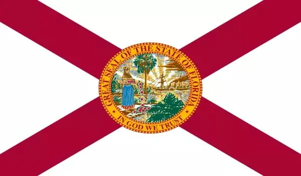 2x3 Florida Nylon Flag