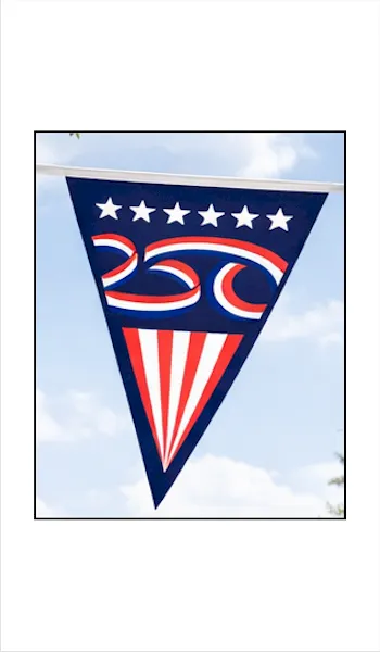 America 250 Pennant
