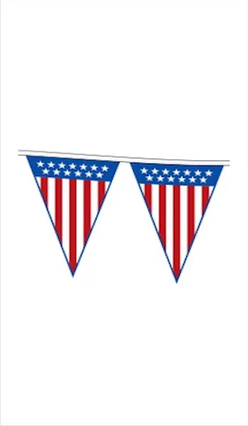 Patriot Pennant