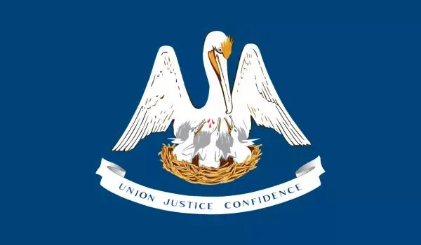 2x3 Louisiana Nylon Flag