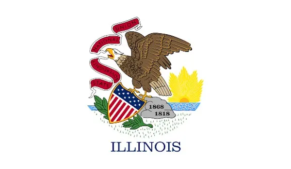 Illinois State Flags